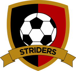 Sheffield Striders Walking Football badge